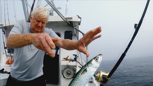 Wicked Tuna Season 10 Episode 7 - Payday Baby
