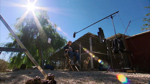 Pit Bulls and Parolees Season 2 Episode 11 - Life in the Spotlight