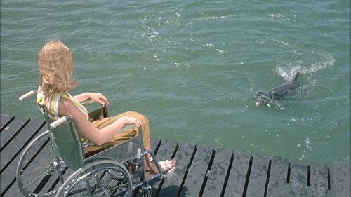 Flipper Season 1 Episode 11 - The Second Time Around