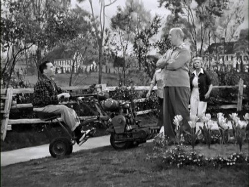 Lucy Raises Tulips still