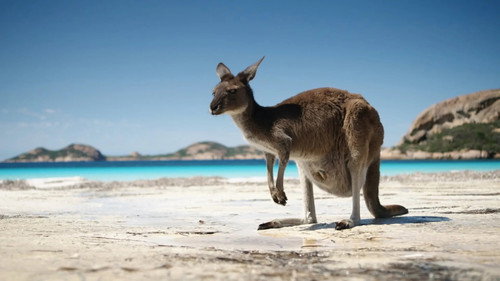 Back Roads Season 8 Episode 1 - The Great Australian Road Trip