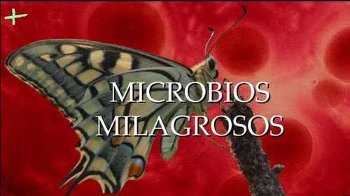 Planeta Microbio Season 1 Episode 7 - Episode 7