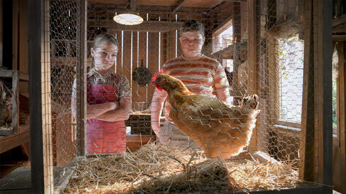 Young Sheldon Season 3 Episode 11 - A Live Chicken, a Fried Chicken and Holy Matrimony