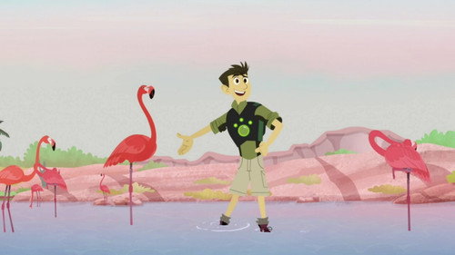 Wild Kratts Season 6 Episode 1 - Mystery of the Flamingo's Pink