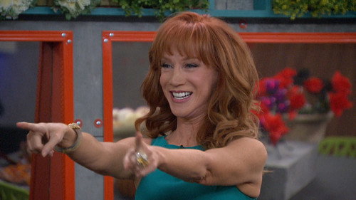 Big Brother Season 16 Episode 25 - Episode 25