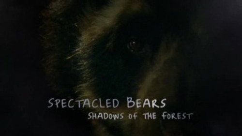 Natural World Season 27 Episode 14 - Spectacled Bears - Shadows Of The Forest