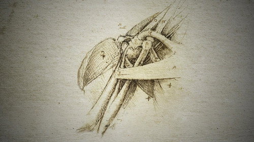 NOVA Season 46 Episode 21 - Decoding Da Vinci