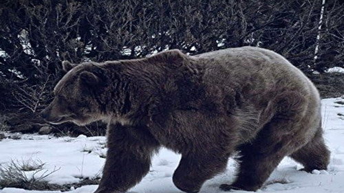 Mountain Men Season 3 Episode 1 - Winter's Wrath