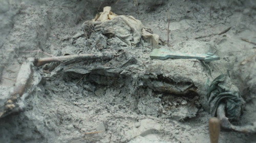 Buried In The Backyard Season 3 Episode 16 - Witness to Murder