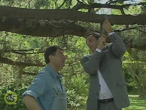 Wild Angel Season 1 Episode 252 - Episode 252
