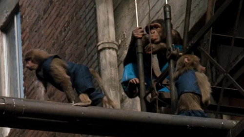 CHiPs Season 5 Episode 23 - Trained for Trouble