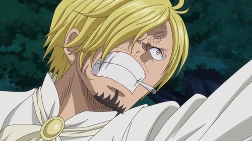 Save the Sunny! Fighting Bravely! Chopper and Brook! still