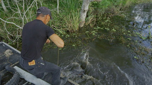 Swamp People Season 9 Episode 20 - United We Stand