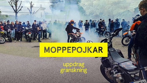 Uppdrag granskning Season 21 Episode 17 - Episode 17