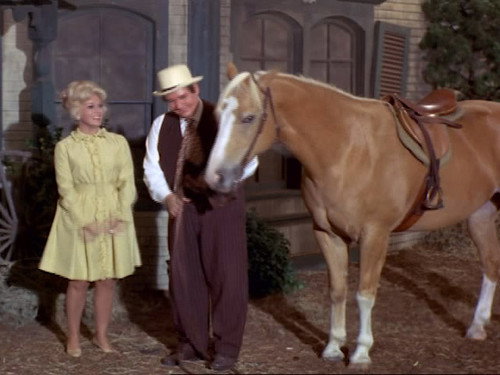Green Acres Season 4 Episode 13 - The Birthday Gift