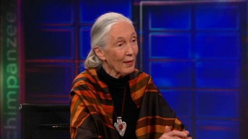 Jane Goodall still