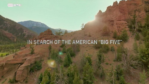 Planet Safari Season 1 Episode 1 - Episode 1