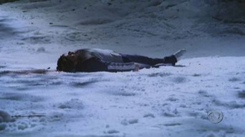 CSI: NY Season 1 Episode 13 - Tanglewood