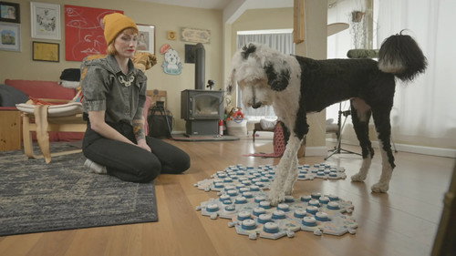 The Secret Life of Our Pets Season 1 Episode 1 - Communication