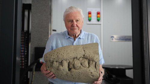 Nature Season 42 Episode 11 - Attenborough and the Jurassic Sea Monster