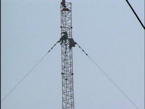 Engineering Disasters 5 still