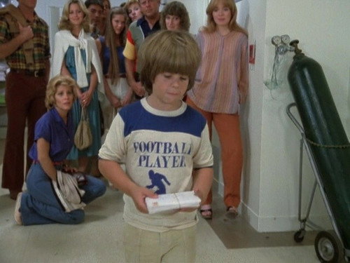 Eight Is Enough Season 4 Episode 10 - Letter to One Bradford