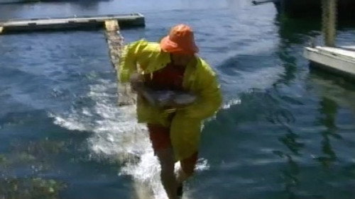 The Challenge Season 4 Episode 3 - Wharf Games