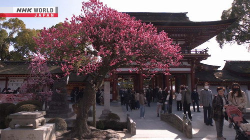 Seasoning the Seasons Season 13 Episode 8 - Faith in Tenjin - Prayers from across Japan