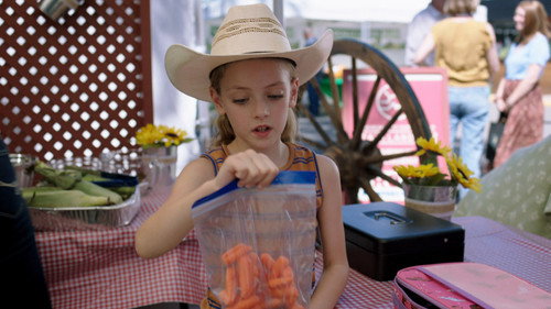 Heartland Season 18 Episode 8 - Throwing Your Hat in the Ring