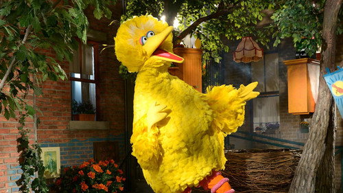 Sesame Street Season 46 Episode 15 - Birdie and the Beast