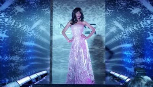 Blue Bloods Season 1 Episode 19 - Model Behavior