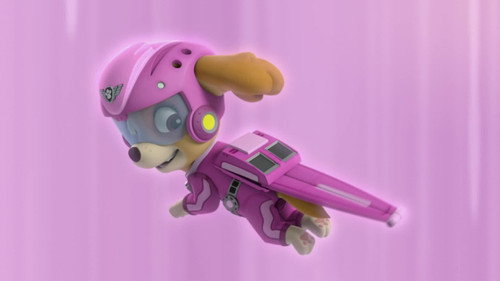 Pups Save Their Floating Friends still