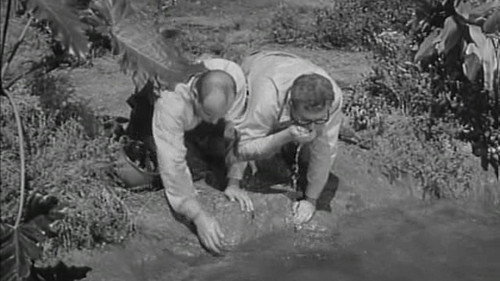 McHale's Navy Season 3 Episode 10 - Fountain of Youth