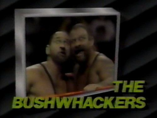 WWF Superstars Season 4 Episode 15 - April 15, 1989 - Superstars of Wrestling 137