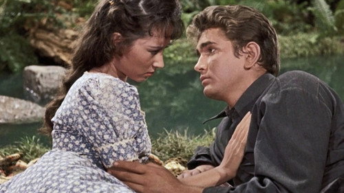 Bonanza Season 1 Episode 11 - The Truckee Strip