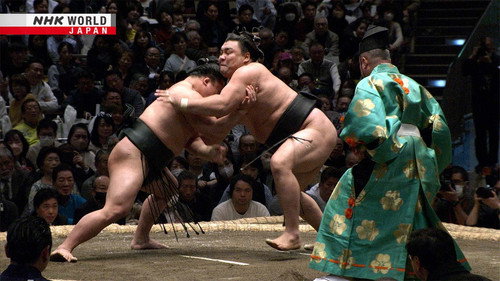 GRAND SUMO Highlights Season 21 Episode 4 - Day 4