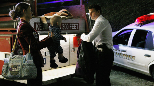 Bones Season 3 Episode 12 - The Baby in the Bough