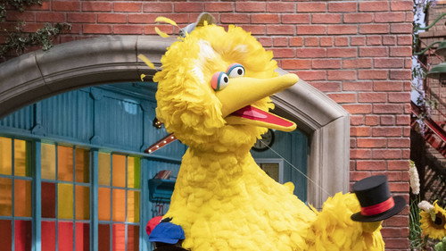 Sesame Street Season 51 Episode 3 - Measuring Big Bird