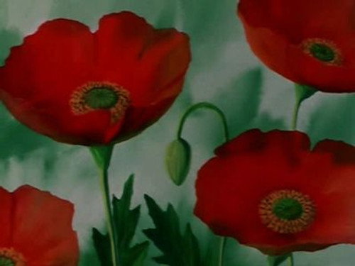 Flower Angel Season 1 Episode 6 - The Grandmother's Grape Garden