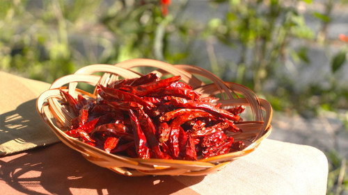 Trails to Oishii Tokyo Season 2 Episode 18 - TOGARASHI PEPPER