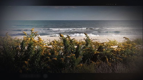 Dateline Season 32 Episode 13 - The Hunt for the Gilgo Beach Killer
