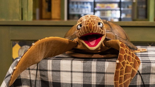 Turtle Tunes still