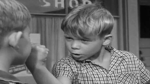 undefined Season 2 Episode 1 - Opie and the Bully