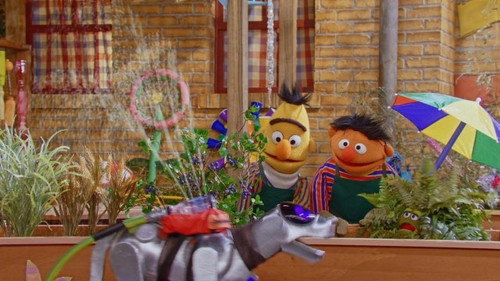 Sesame Street Season 54 Episode 18 - Tamir's Water Works