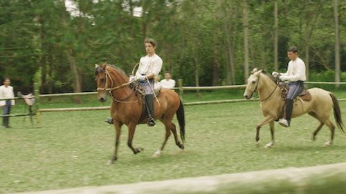Bolívar Season 1 Episode 6 - Episode 6