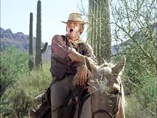 The High Chaparral Season 1 Episode 25 - The Peacemaker