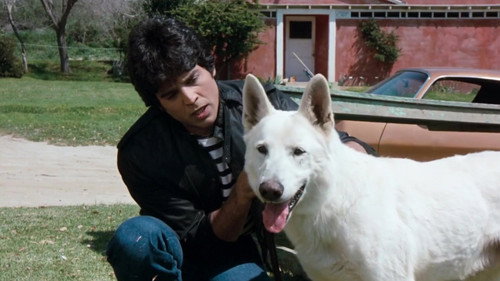 K-9-1 still