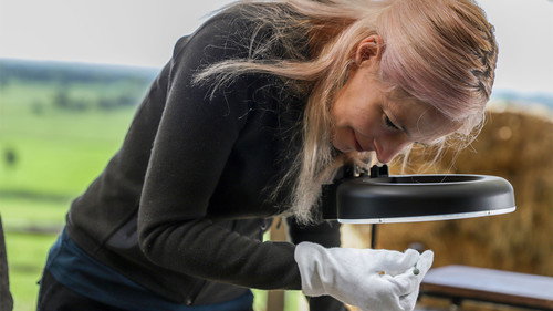 Digging for Britain Season 9 Episode 4 - Midlands