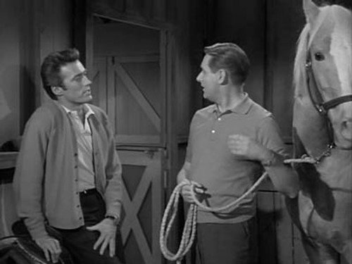 Mister Ed Season 2 Episode 25 - Clint Eastwood Meets Mister Ed
