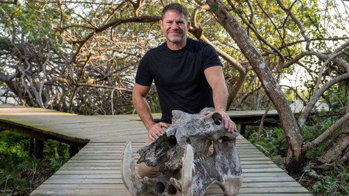 Hippo Watch with Steve Backshall Season 1 Episode 1 - Episode 1
